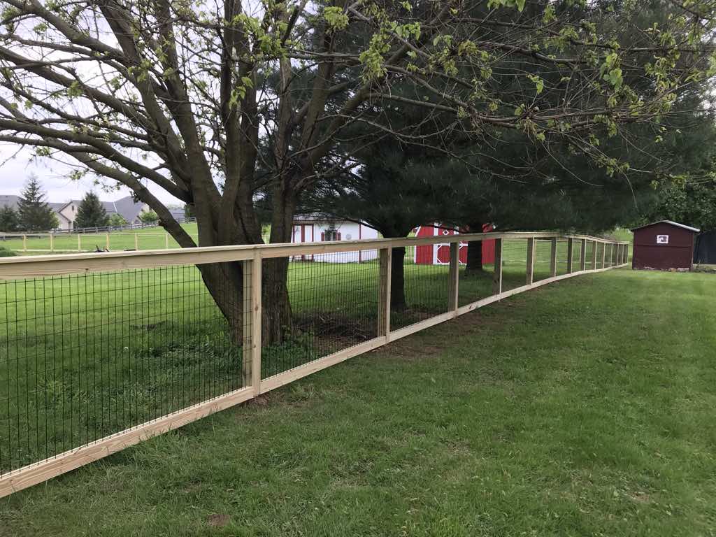 Best Picture Frame Fences