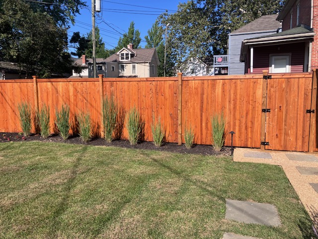 Staining